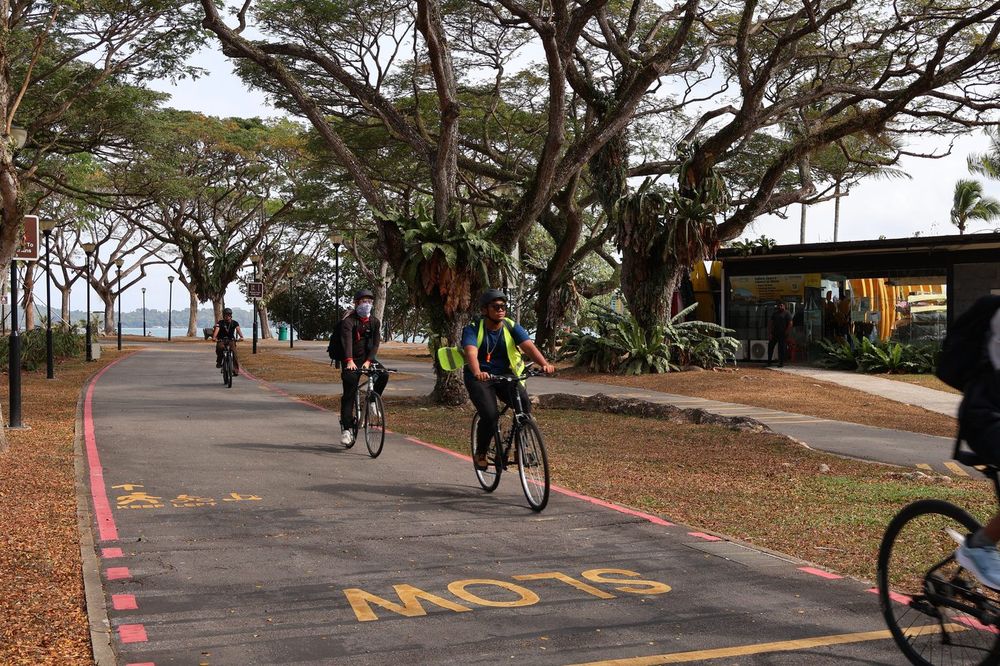 Participants on bicycles during a Cycling Expeditions session run by Momentum Academy coaches in Singapore