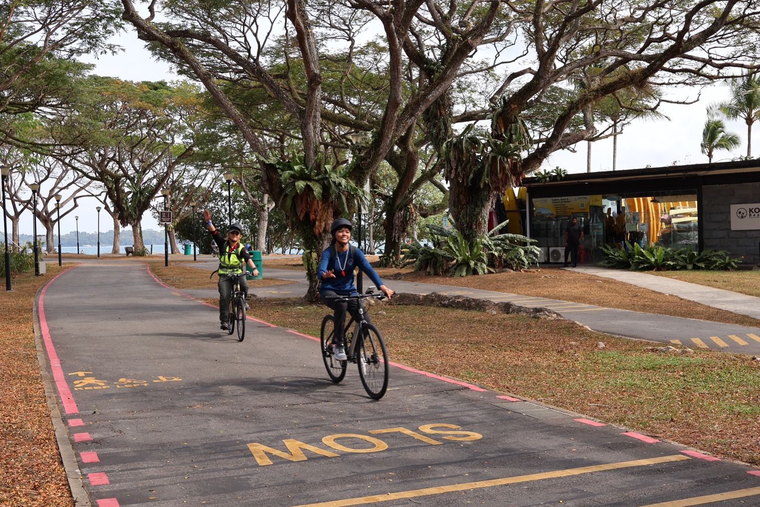 Cycling group on a guided Momentum Cycle ride in Singapore